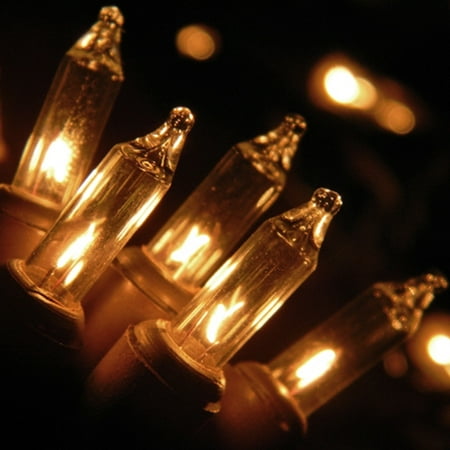 Wedding Lights String Lights 4 ft Outdoor Plug-in Brown Wire Clear - Walmart.com