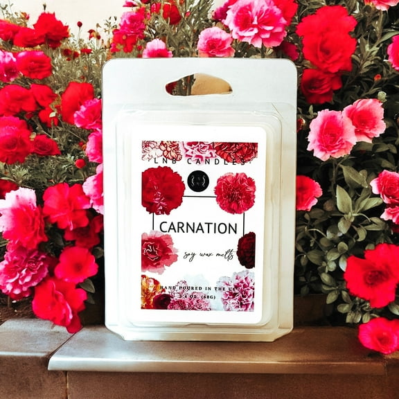 Carnation Scent Wax Melts 3 PACK
