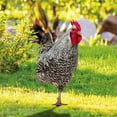 Shoe Men Height Yard Signs With Memorial For Husband Poultry Decoration shoe-men-height-yard-signs-with-memorial-for-husband-poultry-decoration