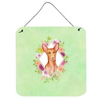 Carolines Treasures CK4328DS66 Pharaoh Hound Green Flowers Wall or Door Hanging Prints 6x6 multicolor