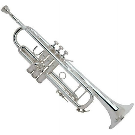 Bach 180S Stradivarius 37 Bell Series Professional Bb Trumpet Silver Yellow Brass Bell