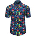 thumbnail image 3 of Camisetas gráficas para niñas Tropics Binkini para hombres, ropa, camisa hawaiana de playa con estampado 3D, camisetas Y2K de manga corta, blusas con solapa, 3 of 5