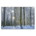 thumbnail image 3 of 36" x 24" Frosty Forest by Anne Schneidersmann - Print on Canvas Fabric White, 3 of 3