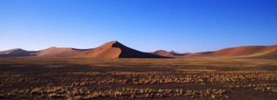 Sand Dunes In A Des