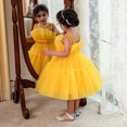 thumbnail image 1 of Vestido de niña Vestido de princesa Vestido de niña de flores Vestido de niña de flores Vestido de niña de flores, 1 of 6