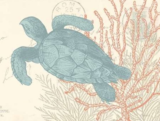 Sea Turtle Canvas A