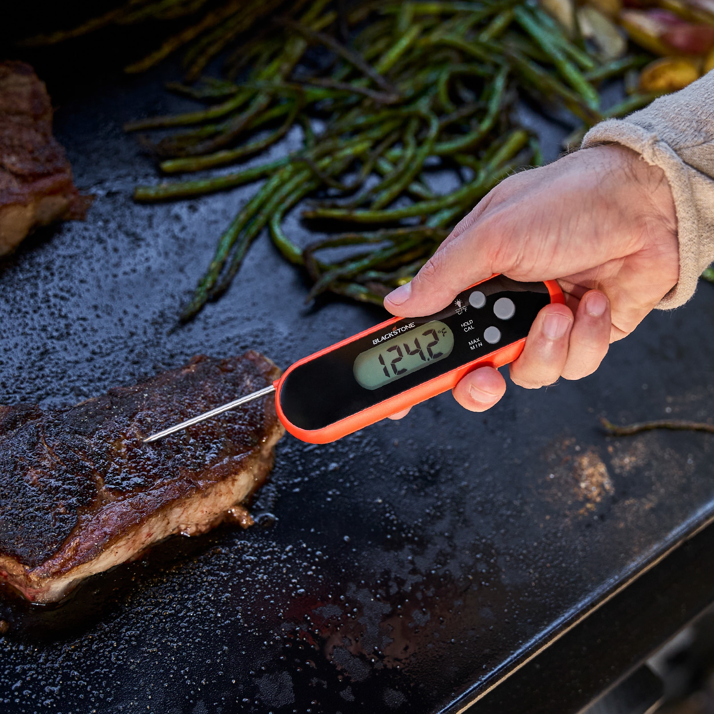 Blackstone Folding Probe Thermometer