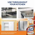 thumbnail image 4 of Lysol Antibacterial Kitchen Cleaner, Kitchen-Pro Power Degreaser, Unbeatable Grease Cutting, 650 mL, 4 of 5
