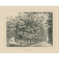 thumbnail image 2 of Great Art Now French Park Etching II by Wild Apple Portfolio, Canvas Wall Art, 20W x 16H, 2 of 2
