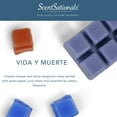 thumbnail image 5 of Vida Y Muerte (Life And Death) Scented Wax Melts, ScentSationals, 2.5 oz (1-Pack), 5 of 11