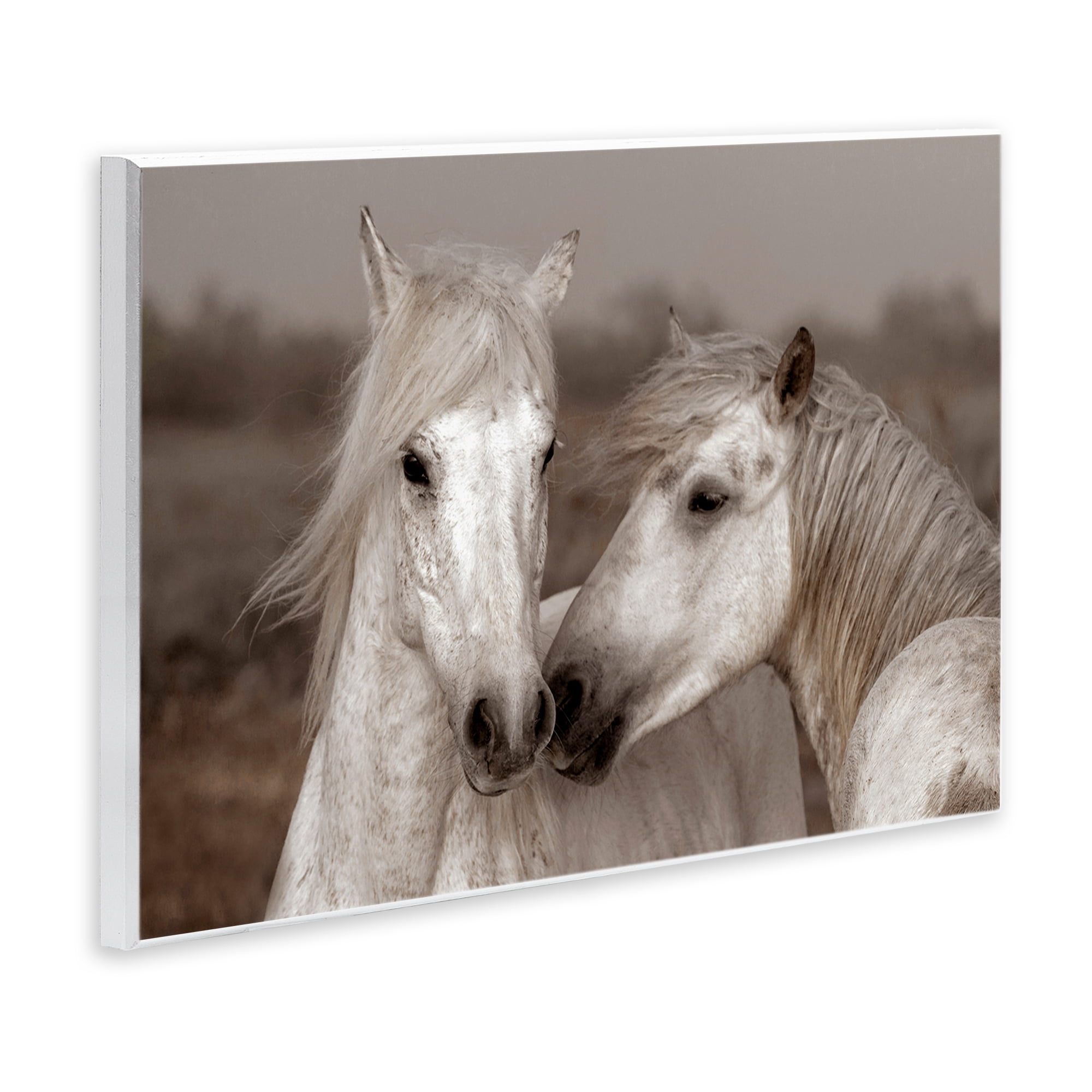Stupell Industries Gentle Companionship Horses Wall Plaque Art, design by Danita Delimont