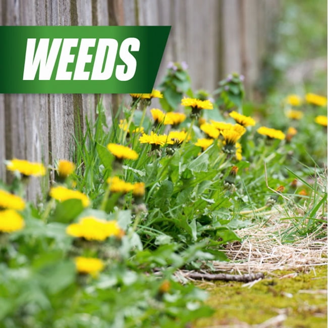 Pulverize Weed Killer for Lawns, 1 Gallon Ready-to-Use with Nested Trigger