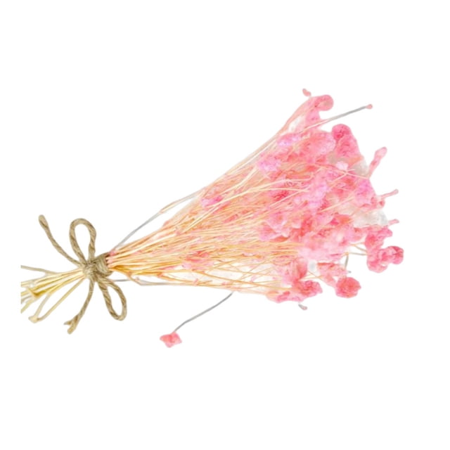 Yuarrent Mini ramo de flores secas, artesanía DIY, decoración de boda, exquisito regalo dulce de larga duración, calcomanía para graduación, Artesanía N01 Yuarrent HA084418-01