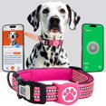 thumbnail image 1 of Collar para perros AirTag ILFINDYOU, grande, impermeable y reflectante, 1 of 7