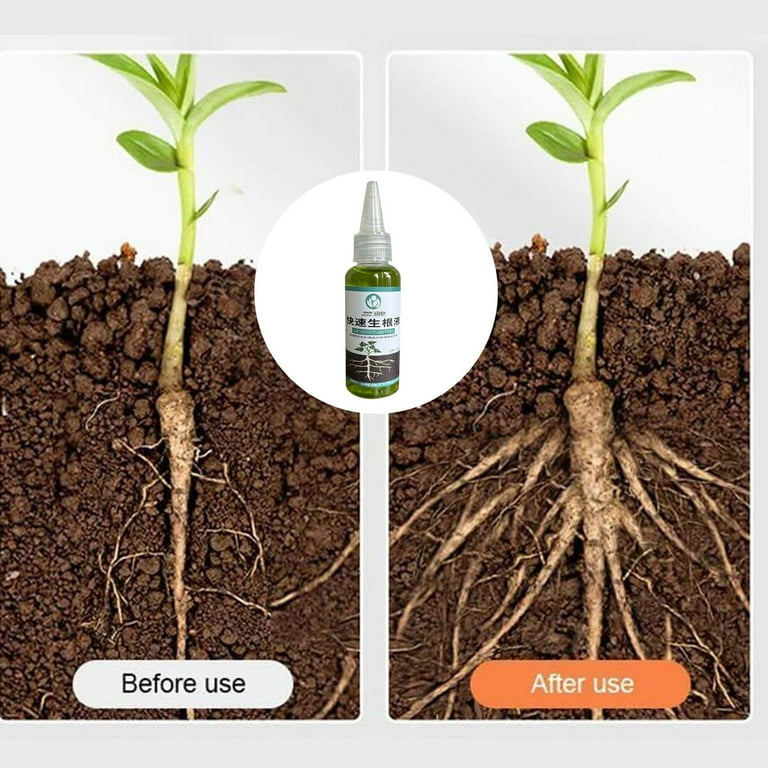 HonestMatter Rooting Hormone for Cuttings Plant Growth Enhancer Liquid Root  Stimulator Stimulates Rapid Growth for Indoor Outdoor Plants 1.7 fl oz -  Walmart.com