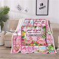 thumbnail image 3 of Flamingo Blanket Throw,Flamingo Gifts for Women,Pink Flamingo Gifts for Girls Blanket,Flamingo Christmas Decorations Gifts,Cozy Flamingo Themed Gifts Blanket for Sofa Couch Beds Décor, 3 of 6