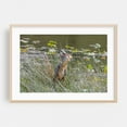 thumbnail image 2 of Heron Catches Carp on a Lake in PA - Pennsylvania Photography Wildlife Bird Fishing Nature Animal Lake Scenic Unframed Wall Art Print 40 x 60 inches, 2 of 7
