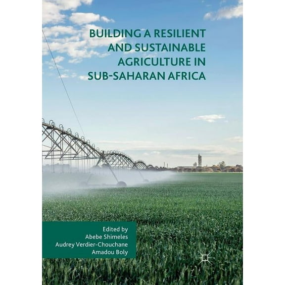 Building a Resilient and Sustainable Agriculture in Sub-Saharan Africa, (Paperback)