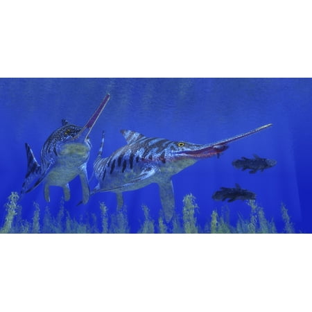 A Eurhinosaurus reptile preys on a coelacanth fish Canvas Art - Corey FordStocktrek Images (40 x
