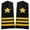 G, variant on Star Shoulder Epaulettes Stripes Security Uniform Accessories Captain Professional Security Guard Epaulets Captain