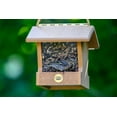 thumbnail image 5 of Birds Choice Modern Farmhouse Small Hopper Hanging Bird Feeder, Natural Teak, 5 of 6
