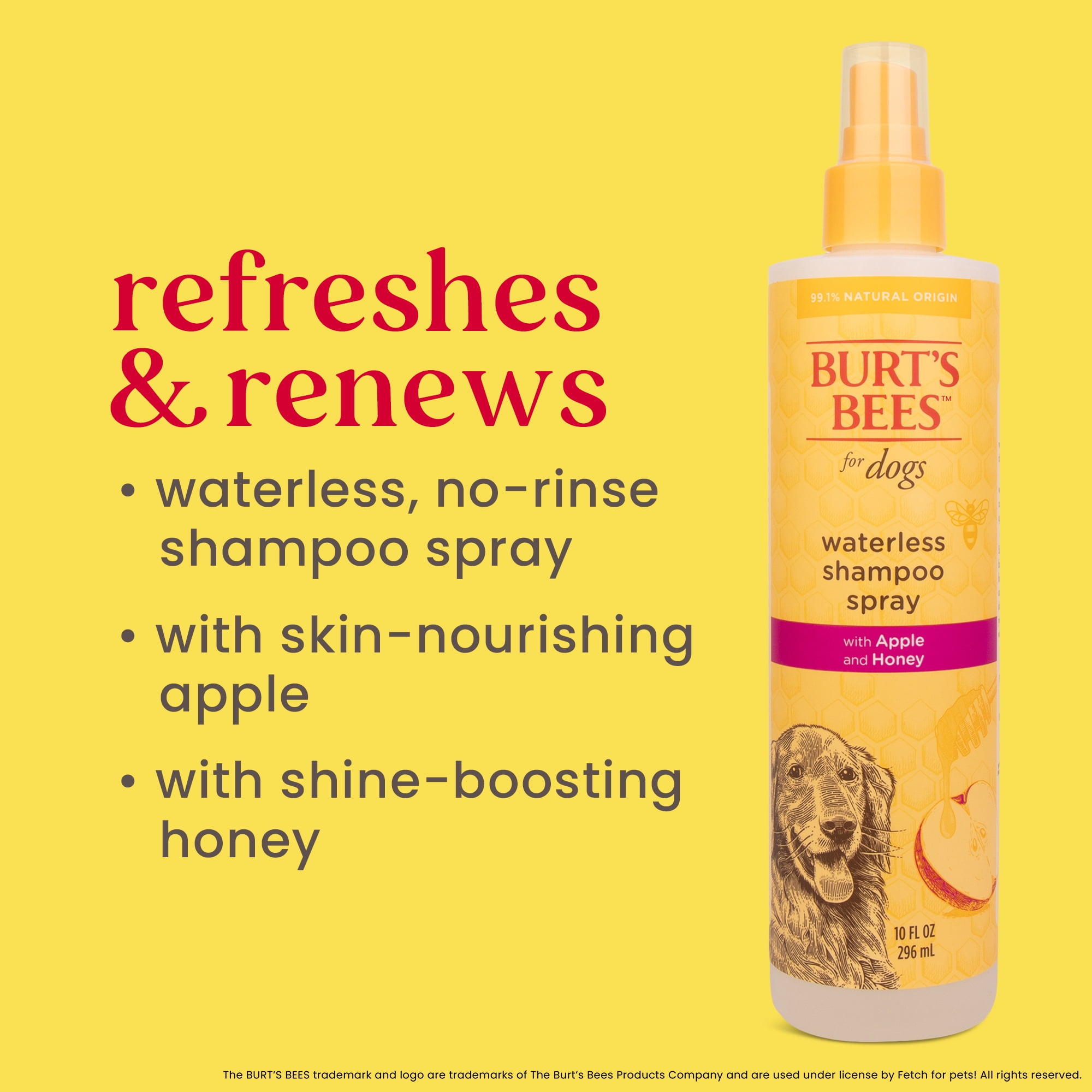 (6 pack) Burt's Bees for Dogs Natural Waterless Shampoo Spray with Apple and Honey | Dry Dog Shampoo for All Dogs and Puppies | Best Puppy and Dog Spray | Cruelty Free, Sulfate & Paraben Free, 10 Ounces