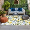 thumbnail image 2 of Eucalyptus Lemon Outdoor Rug for Patio/Deck/Porch, Non-Slip Large Area Rug 6 x 9 Ft, Sage Green Leaf Blue Flower Fruit Indoor Outdoor Rugs Washable Area Rugs, Reversible Camping Rug Carpet Runner, 2 of 8