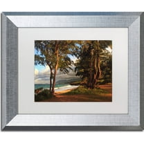 Trademark Fine Art "Hawaii 5" Canvas Art by Jason Shaffer, White Matte, Silver Frame