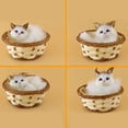 thumbnail image 6 of Lovely Simulation Animal Doll Plush Mini Basket Cat Rabbit Dog Kids Xmas Toy, 6 of 8