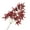 Carmine, variant on SPRING PARK Artificial Maple Leaf Branch Autumn Leaves 2 Pcs Fall Maple Leaf Stem for Home Kitchen Christmas Festival Thanksgiving Autumns Decoration