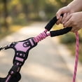 thumbnail image 5 of Front Clip Harness Dog, Adjustable Dog Harness, Dog Leash and Harness Set, Heavy Duty Straps, Reflective Threading, Pink, Large, 1 Set, Daily Walking (172 Chars), 5 of 6