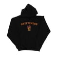 thumbnail image 1 of Harry Potter Womens Gryffindor Crest Hoodie, 1 of 3