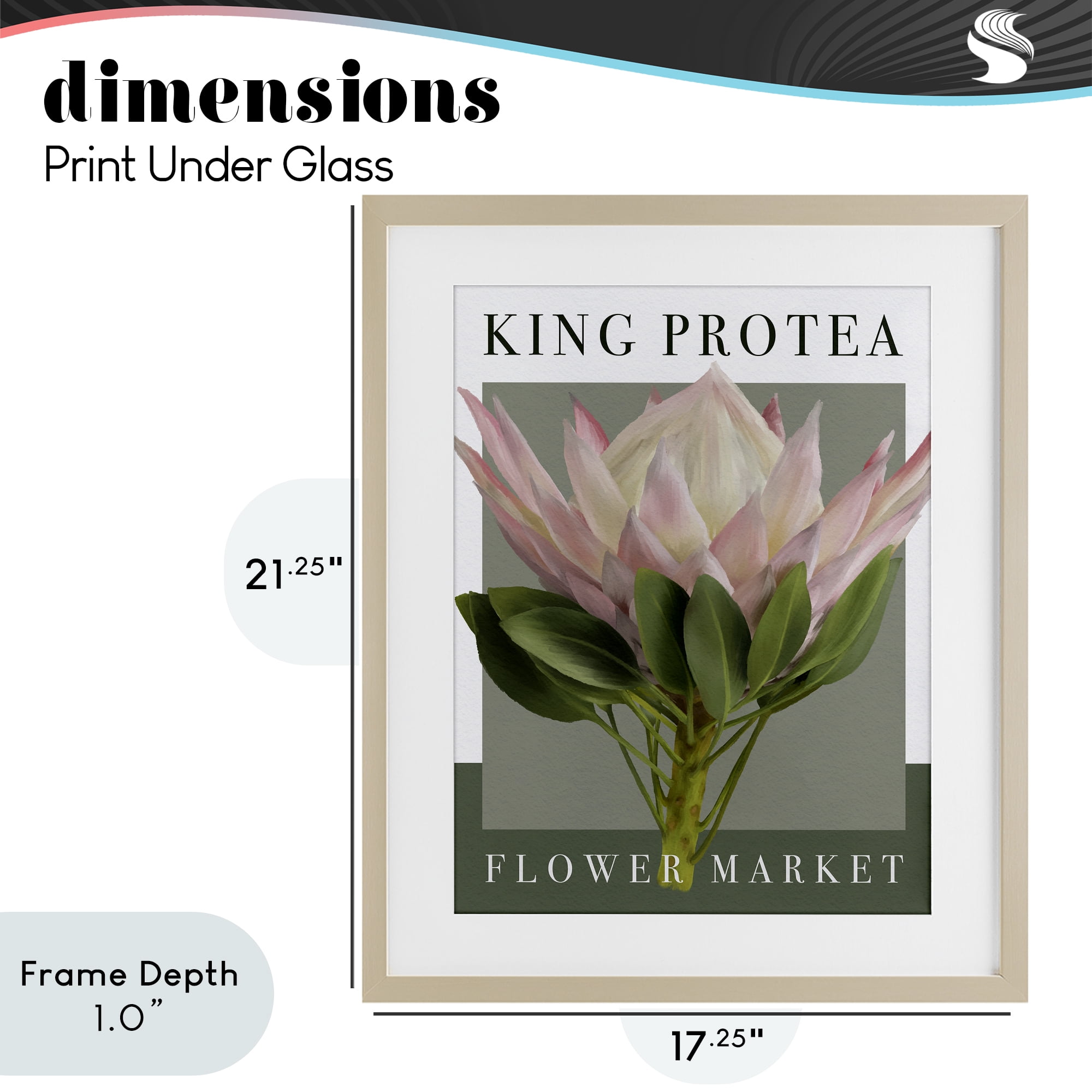 Stupell Industries King Protea Flower Market Birch Framed Print Under Glass, design by Jennifer Stith