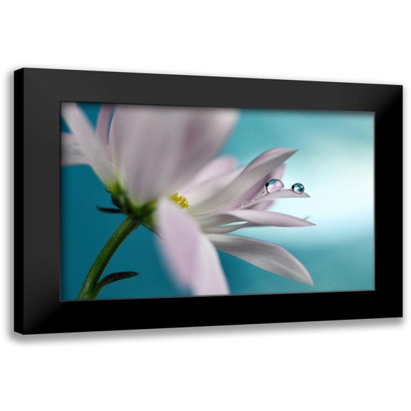 Westum, Heidi 14x10 Black Modern Framed Museum Art Print Titled - In turquoise Company