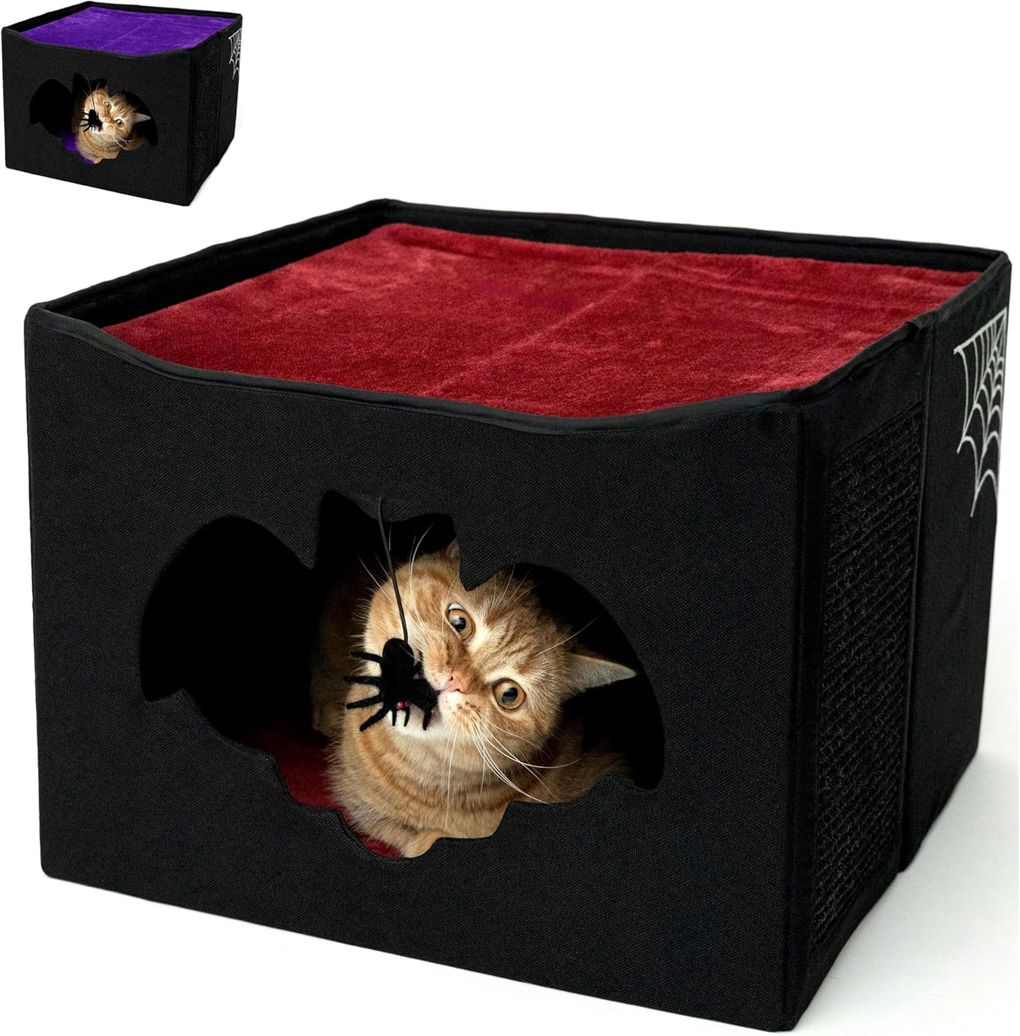 Gothic Cat Bed for Indoor Cats or Pets, Foldable Cat Halloween House 17x17x12.8, Includes Bat-Shaped Entry, Spider Toy, Scratch Pad, and Soft Cushion for Goth Cat, Black and Purple Gothic Cat House