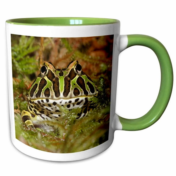 3drose, Pacman Frog, South American Horned Frog - Na02 Aje0361 - Adam Jones, 11oz Two-tone Green Mug