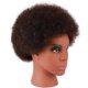 thumbnail image 4 of YBQF African American Mannequin Head with 100% Human Hair Kinky Curly Hair Hairdresser Practice Styling Training Head Cosmetology Manikin Doll Head for Dye Cutting Braiding(137B), 4 of 5