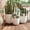 Beige, variant on Harper & Bright Designs 3 Pieces Outdoor Concrete Planter Set, Patio Flower Pots Stone-Look Textured with Drainage Holes and Rubber Plug for Garden Poolside, Gray