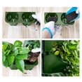 thumbnail image 3 of Caja Vertical de jardín CUTICAT para jardinería exterior e interior invernadero claro, 3 of 8