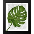 thumbnail image 2 of Fab Funky 20x24 Black Modern Framed Museum Art Print Titled - Monstera Leaf 1, Green on White, 2 of 5