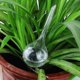thumbnail image 5 of 20 Pcs Plant Watering Bulbs Clear Self-watering Globes Houseplant, 5 of 5