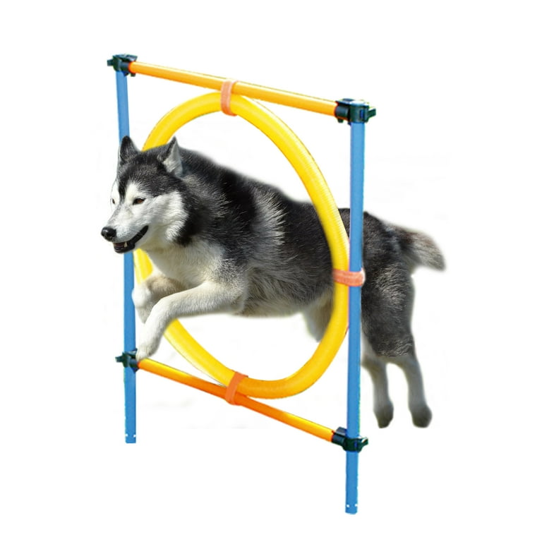 PAWISE Dog Training Exercise Equipment,Dog Agility Training Equipment,12pcs  Weave Poles Playground Equipment Outdoor