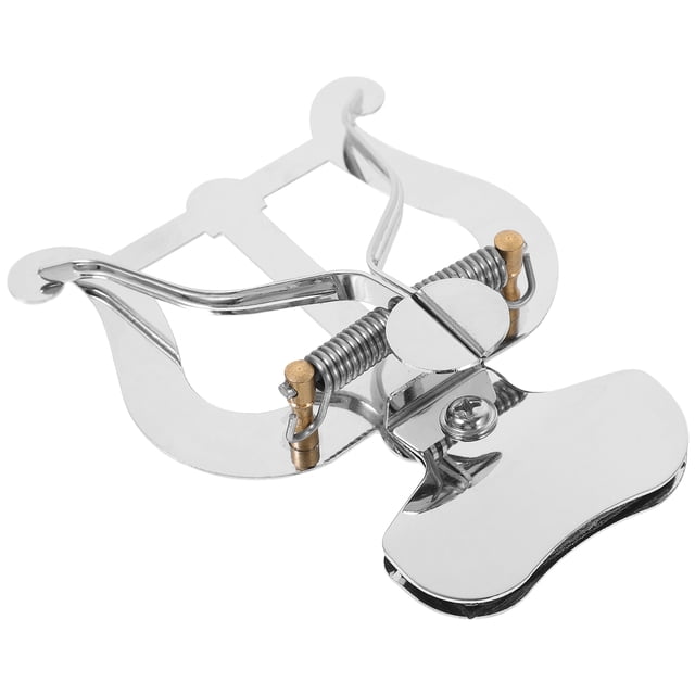 FESTFENDS 1Set Plated Silver Lyre for Trombone and Flute with Music Page Clip and Portable Storage Bag