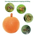 thumbnail image 4 of Fly Gnat Fruit Fly Wasp Sticky Trap Ball - 4 pks, 4 of 6