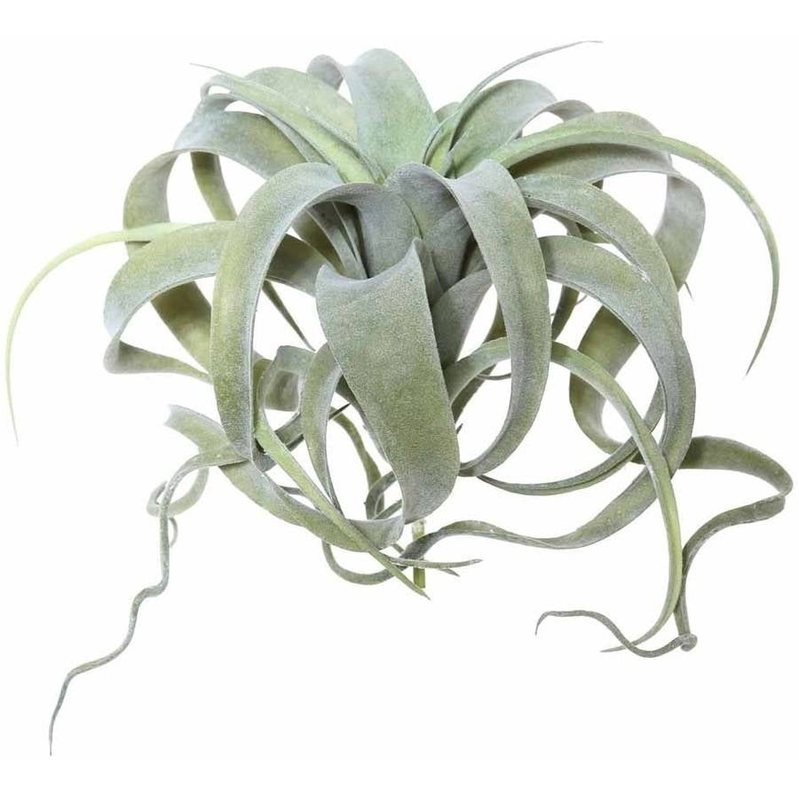 Vickerman Everyday 10.5' Indoor Artificial Green Tillandsia Pick - Decorative Pick Of Durable Polyester Greenery For Home Or Office - Maintenance Free