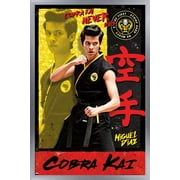 Cobra Kai - Miguel Wall Poster, 22.375" x 34", Framed