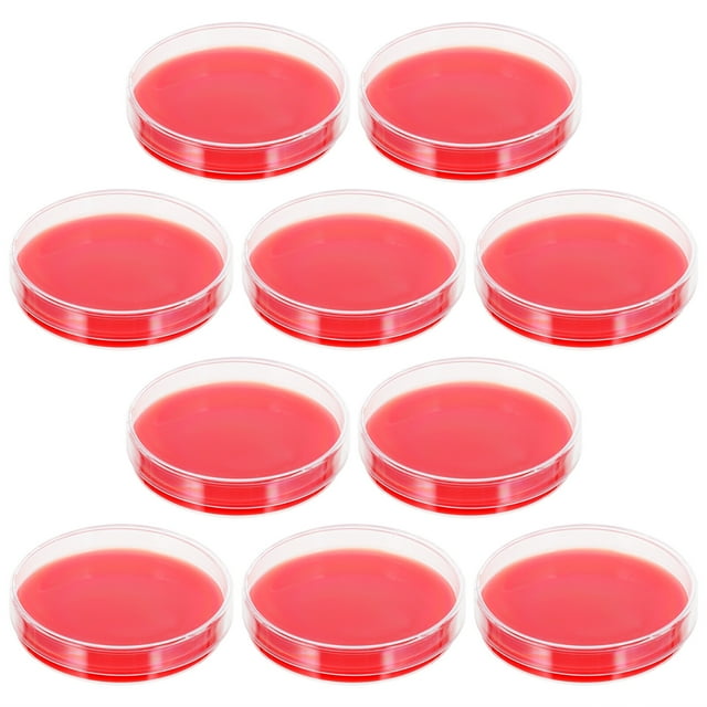 EeaseMX 10PCS AGAR AGAR CULTURA MEDIO Labs Laboratorio Infusión Agar Placas Labs Petri Placas Petri