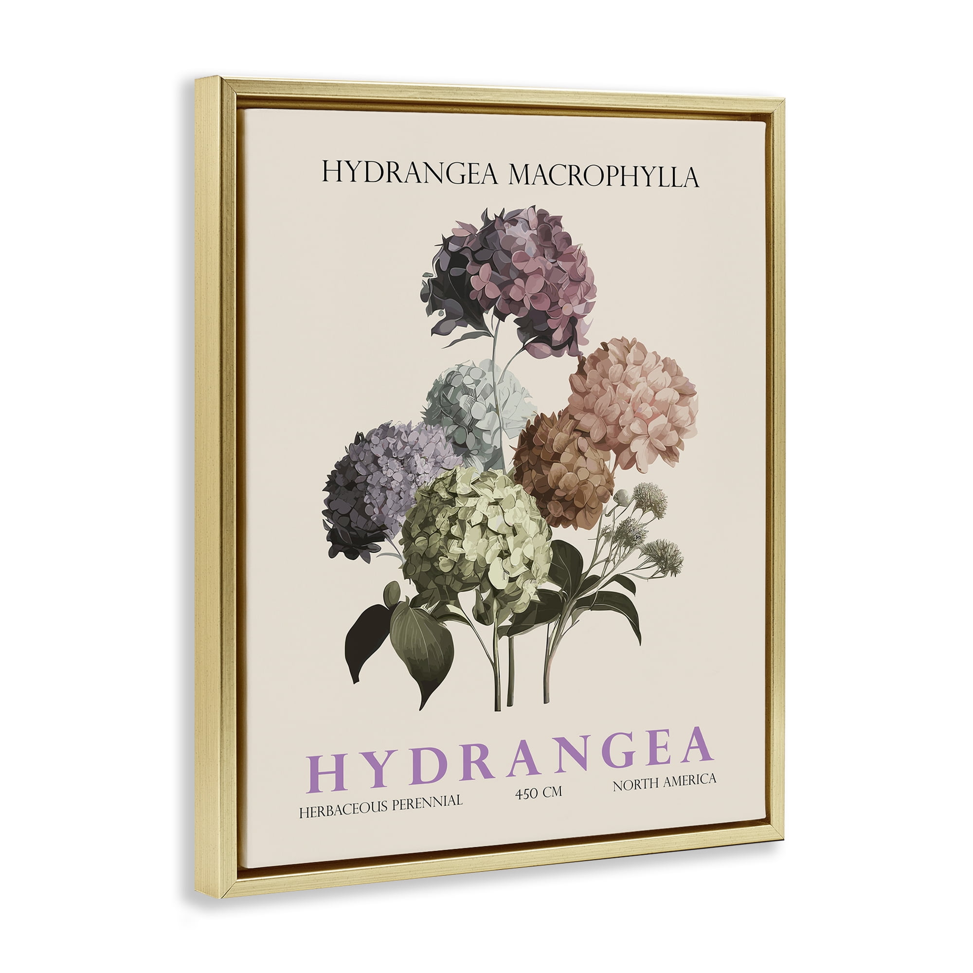 Stupell Industries Nature Hydrangea Bundle Gold Framed Floater Canvas Wall Art, design by Christopher Giampietro