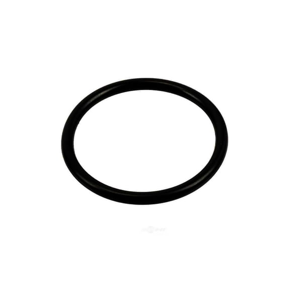 Automatic Transmission Filter O-Ring