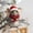 #LL New--C, variant on Christmas Decorations for Mice Christmas Trees Home Decor Car Decorations Christmas Gifts